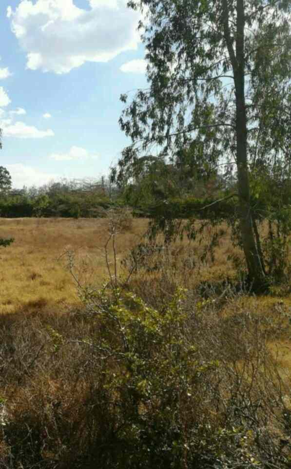 Land for sale in Karen Hardy