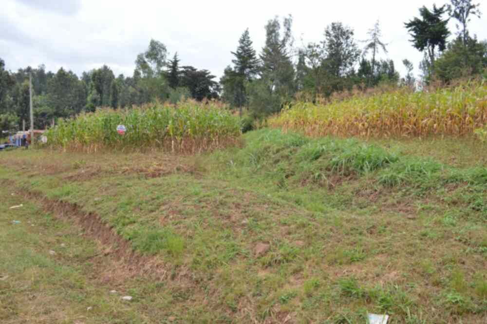 Land for sale in Karugia Muranga county