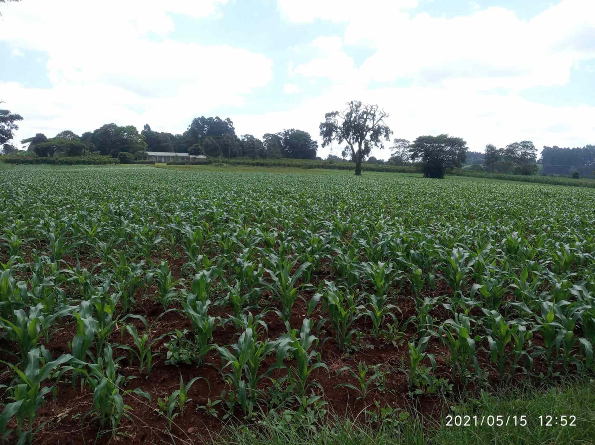 Land for sale in Kiambu near Nazareth Hospital