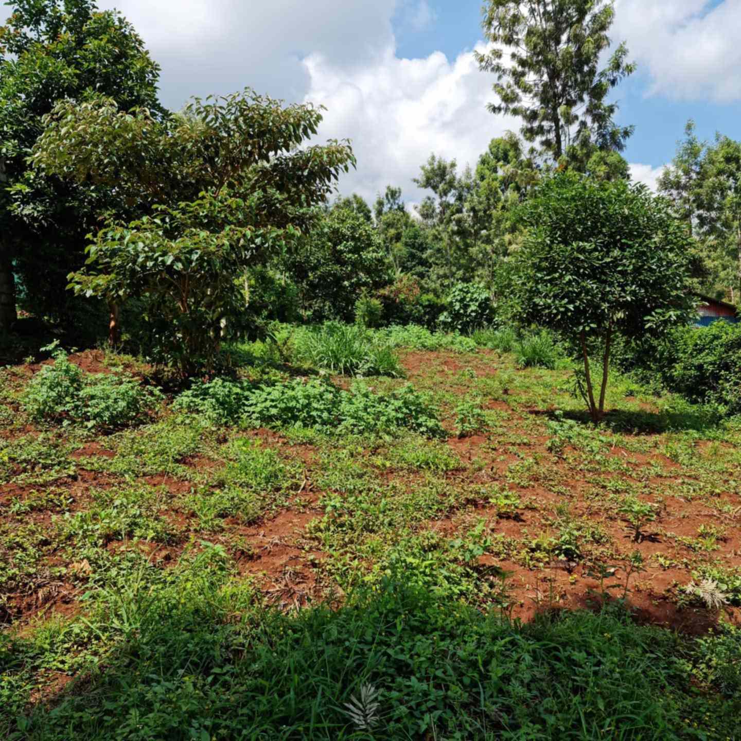 Land for sale in Kiambu Turitu