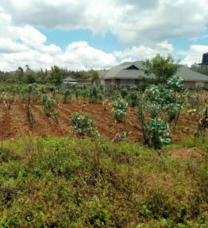 Land for sale in Kibiko Ngong Hills