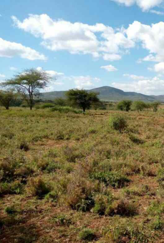 Land for sale in Kibini Mashuru Kajiado County