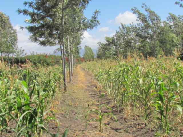 Land for sale in Kangundo road Koma Hill