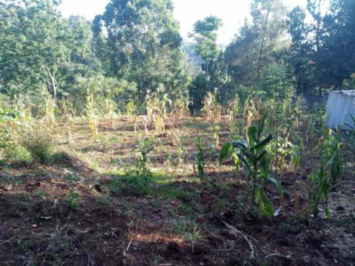 Land for sale in Kyuna estate