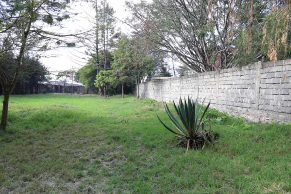 Land for sale in Lavington