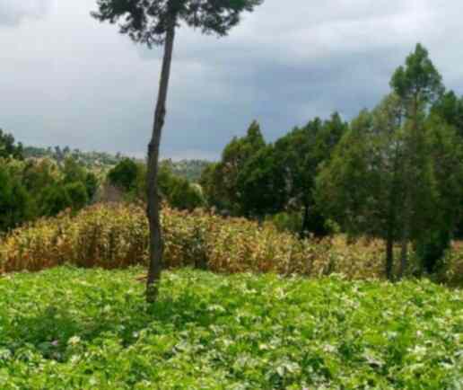 Land for sale in Leshau gwa Kung'u Nyahururu