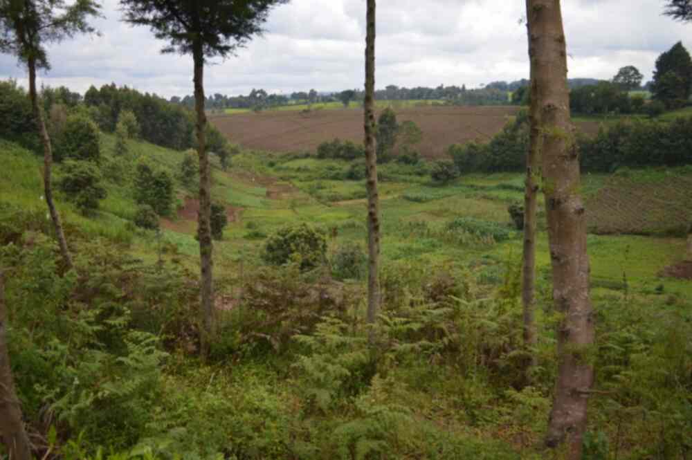 Land for sale in Limuru Riara ridge
