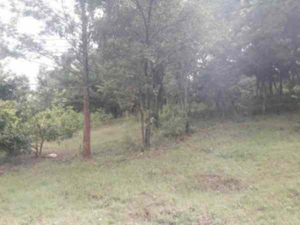 Land for sale in Makuyu