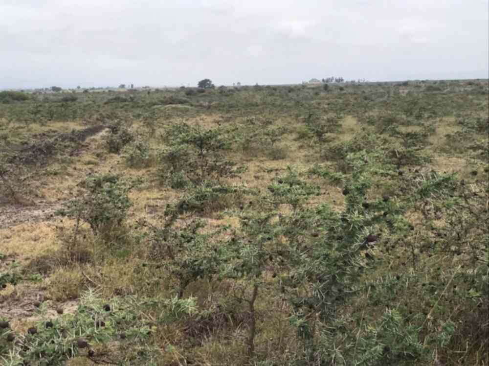 Land for sale in Malaa Kangundo road