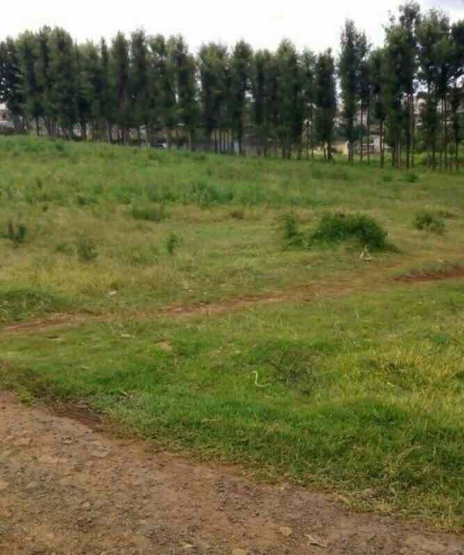 Land for sale in Marurui Northern Bypass