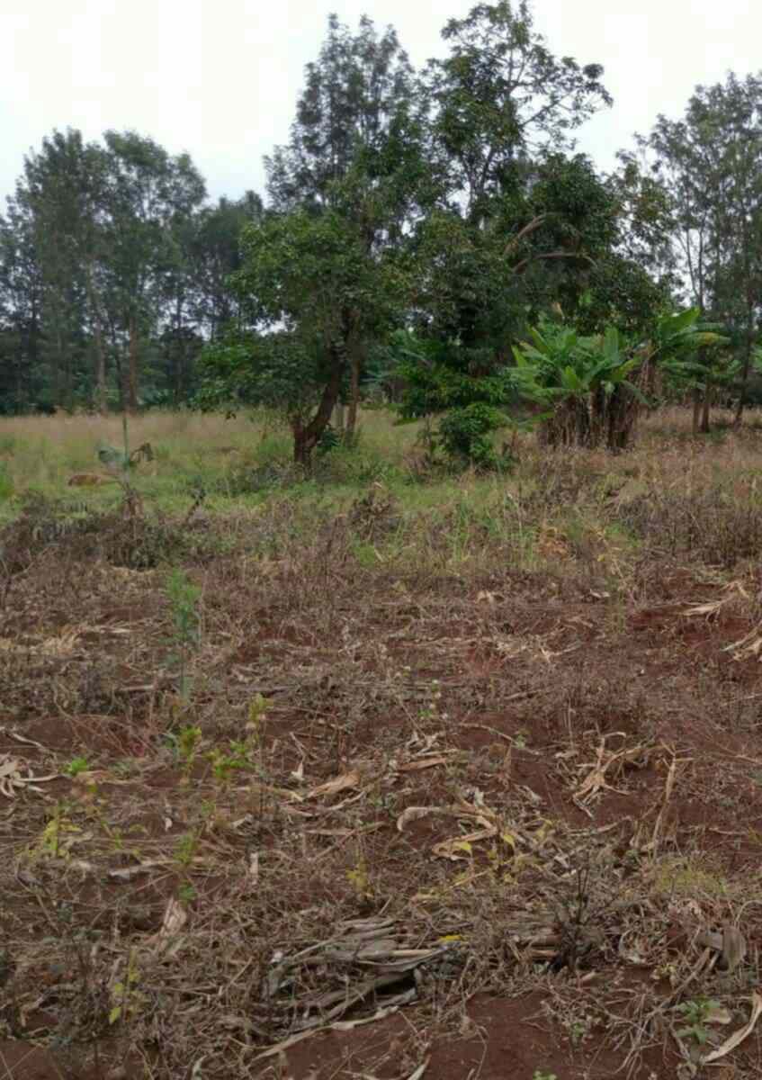 Land for sale in Marurui Thome Nairobi