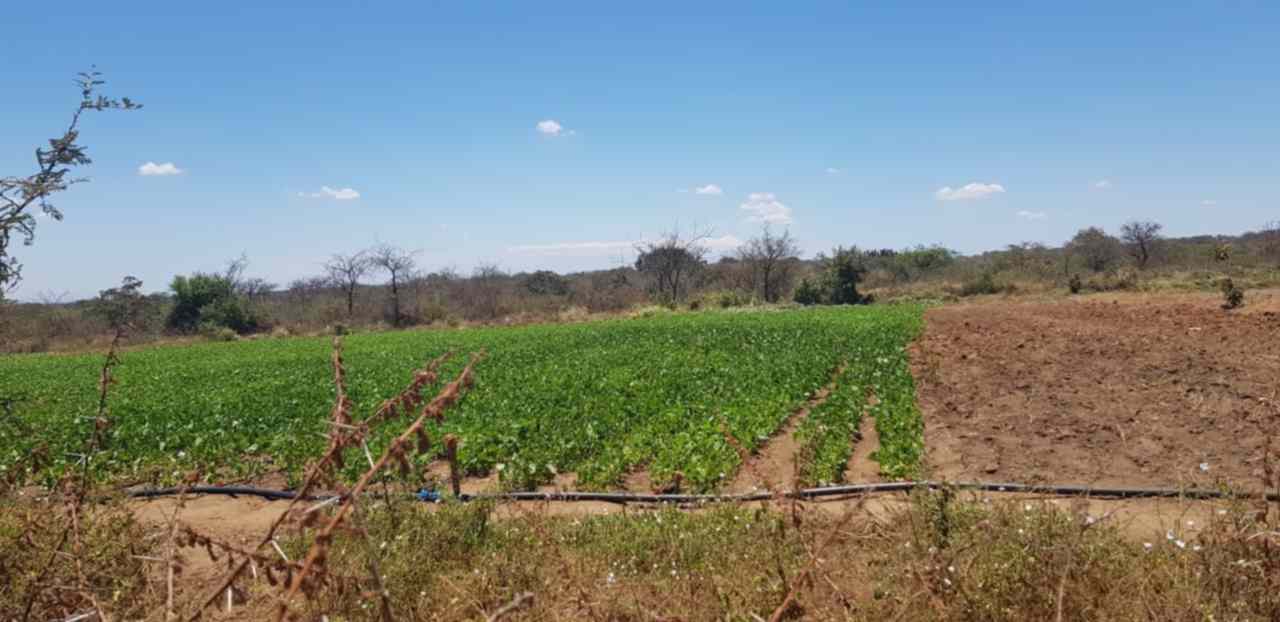 Land for sale in Matuu Kanyonyo area