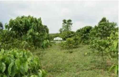 Land for sale in Migaa Kirigiti Kiambu