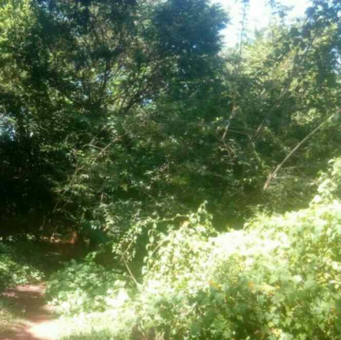 Land for sale in Muthaiga