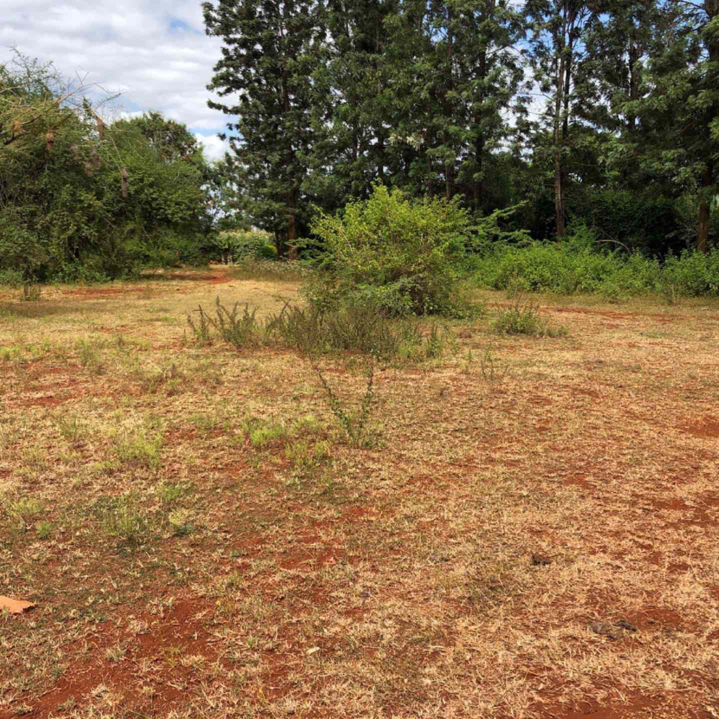 Land for sale in Mwea Kirinyaga County