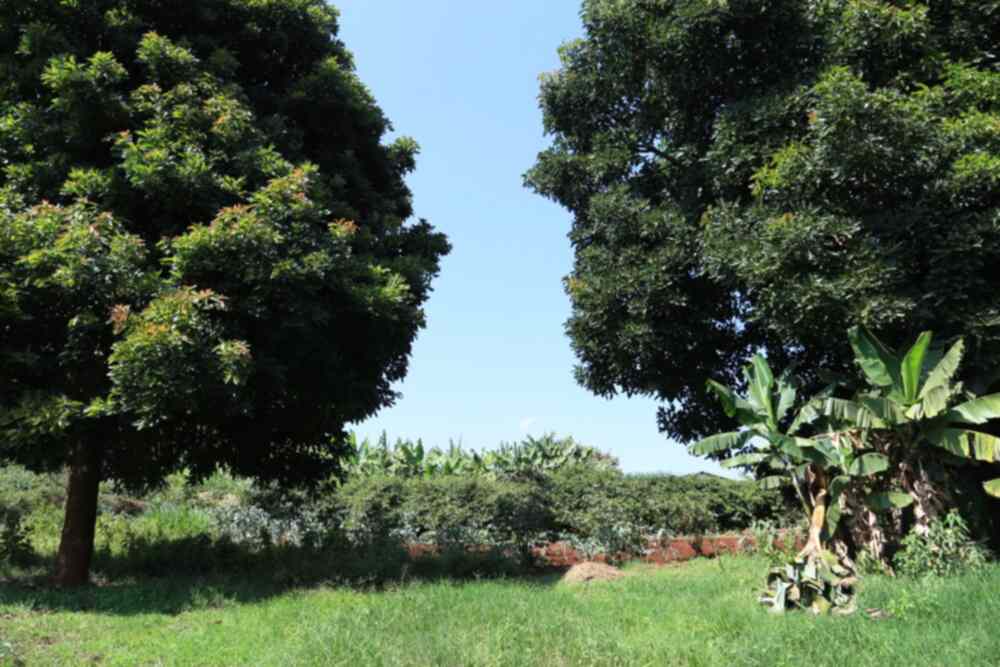 Land for sale in Mwimuto Kitisuru