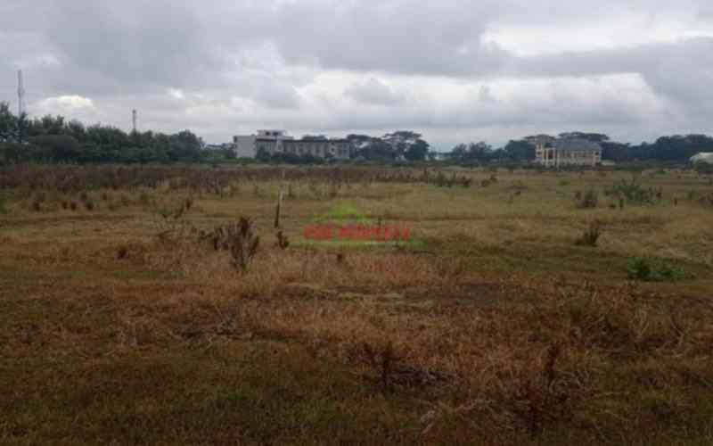 Land for sale in Naivasha Moi South Lake