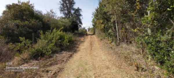 Land for sale in Nanyuki