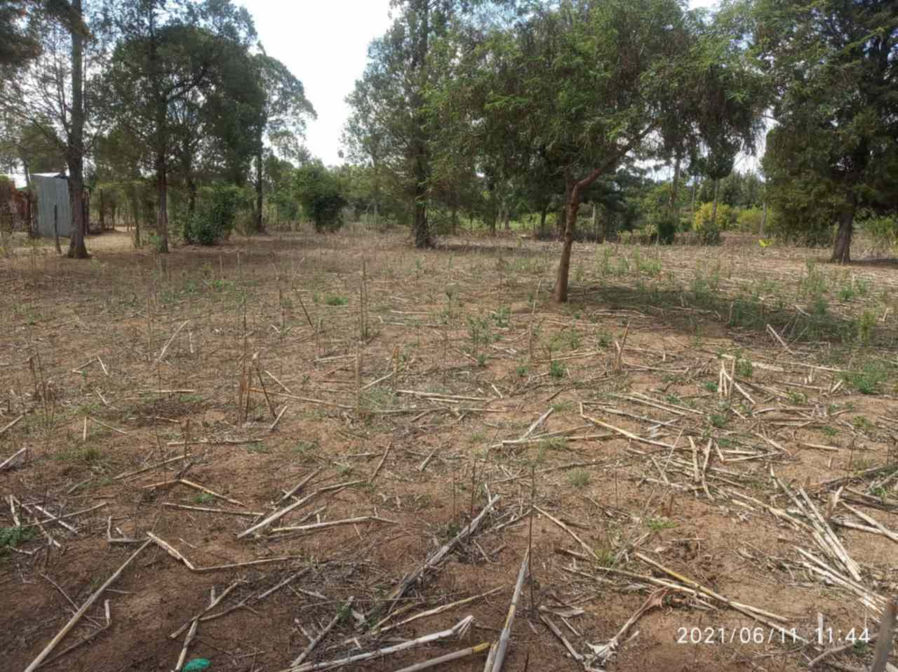 Land for sale in Nanyuki