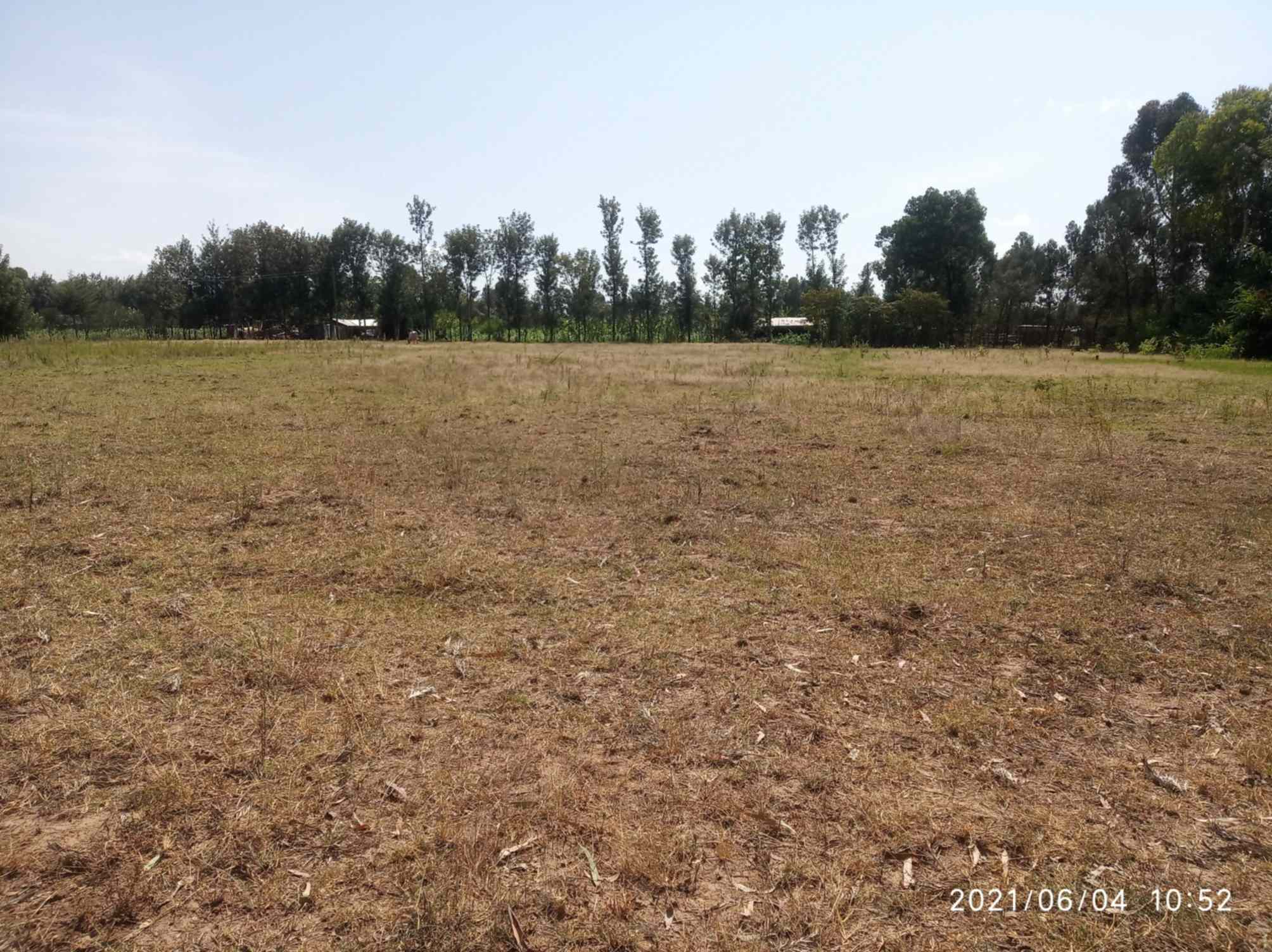 Land for sale in Nanyuki near Airstrip