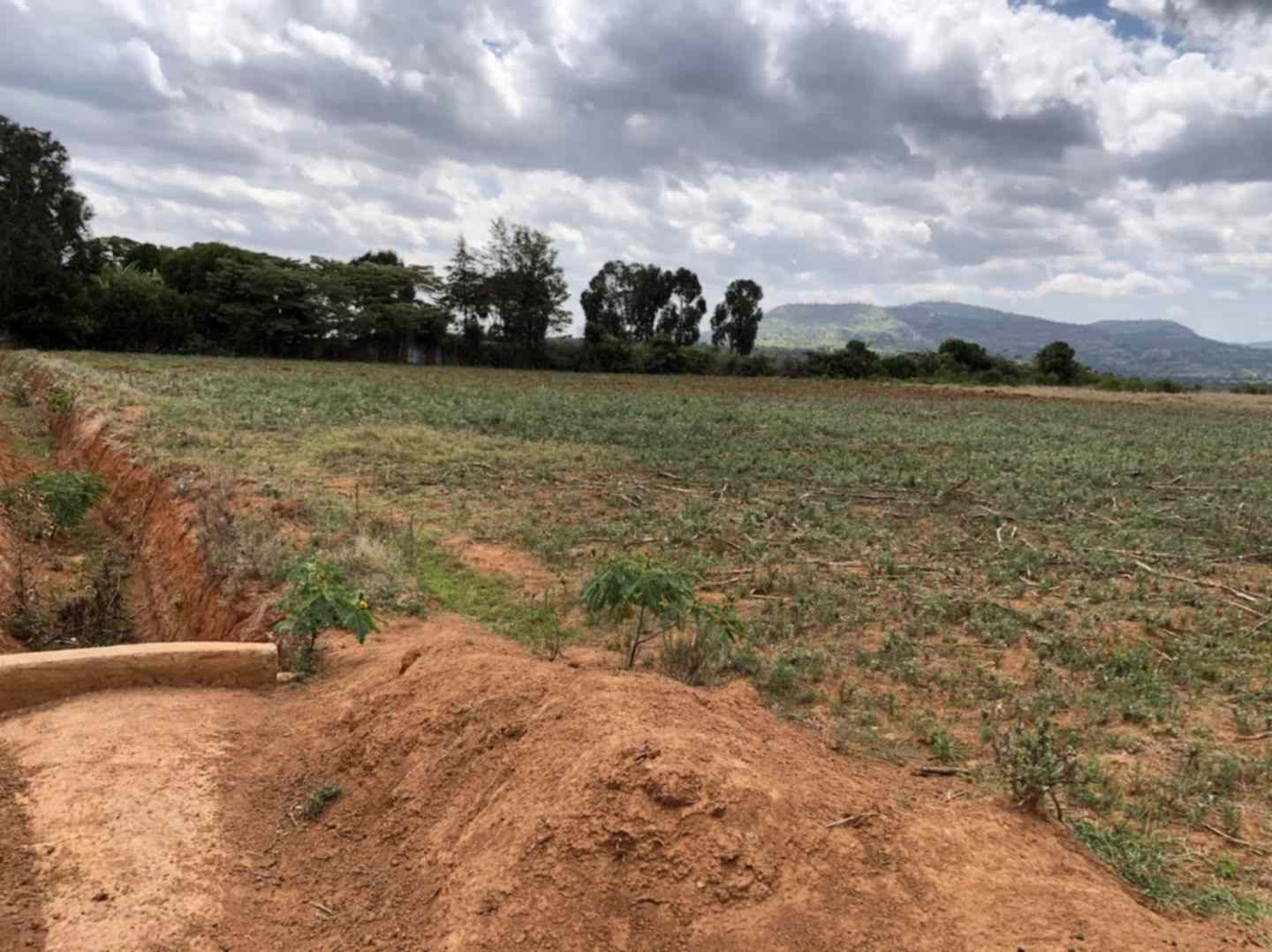 Land for sale in Nanyuki near Daiga