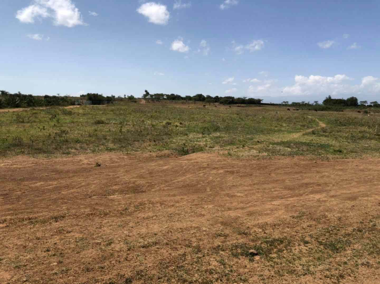 Land for sale in Nanyuki near Marumati