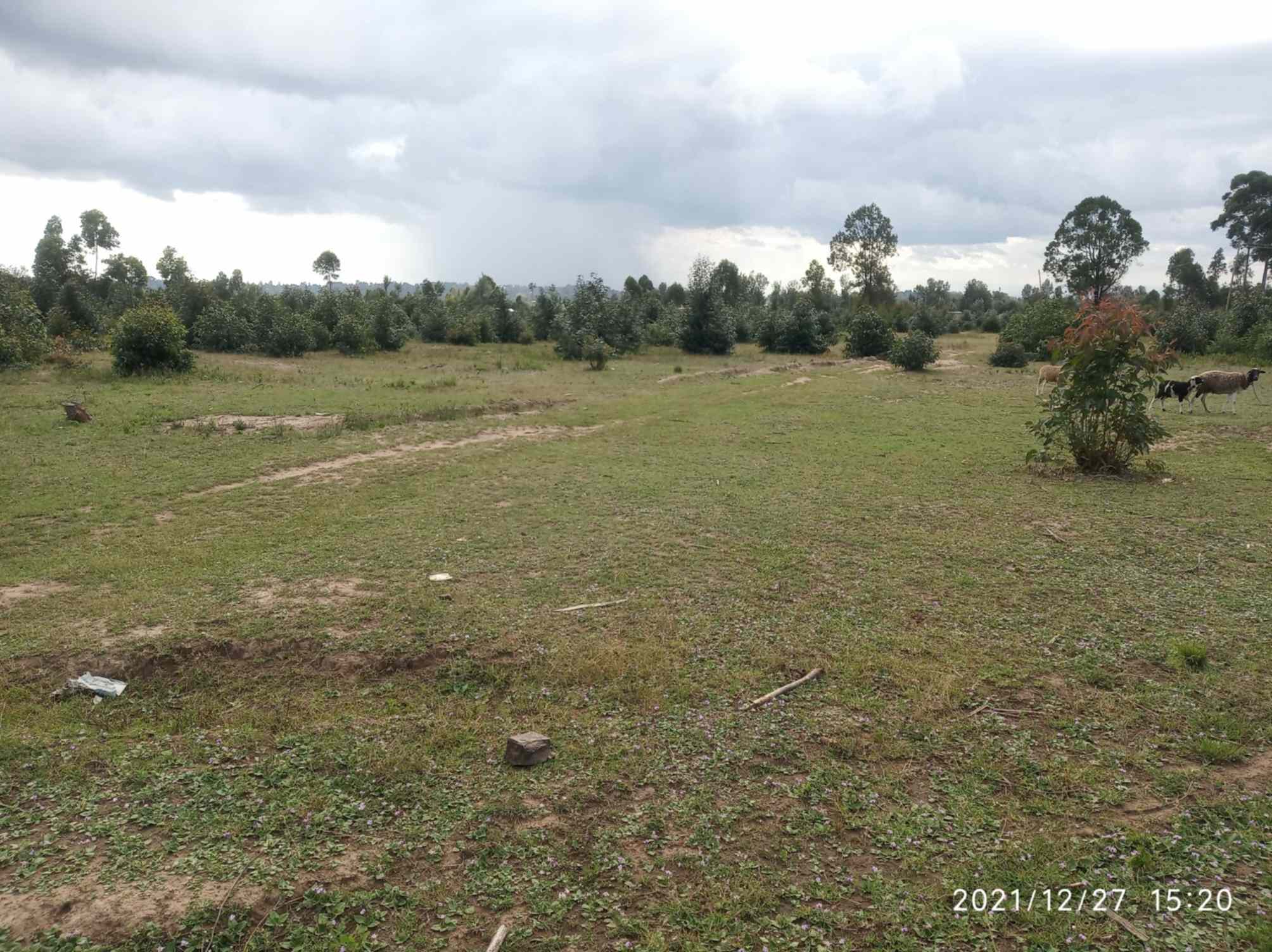 Land for sale in Nanyuki