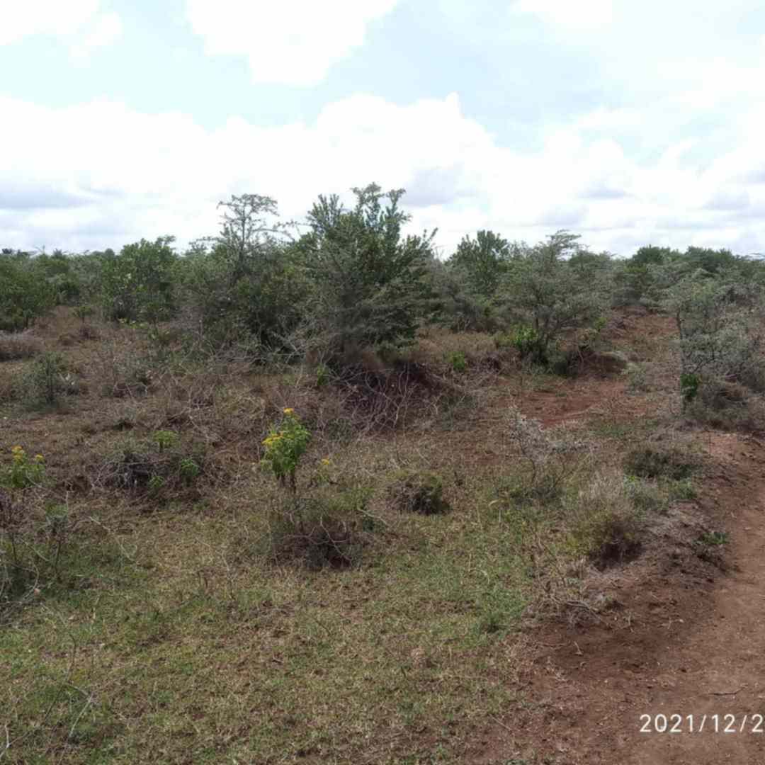 Land for sale in Nanyuki