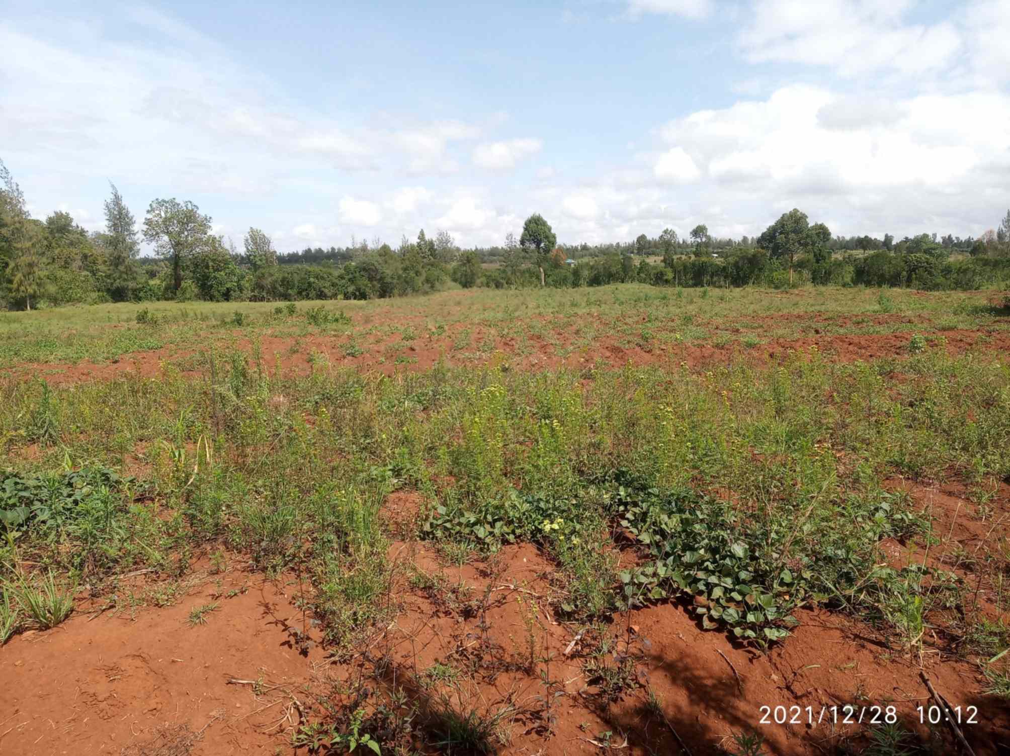 Land for sale in Nanyuki