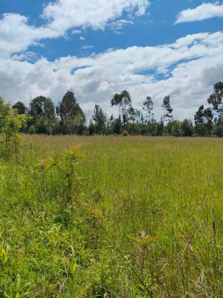 Land for sale in Narumoru Nyeri county