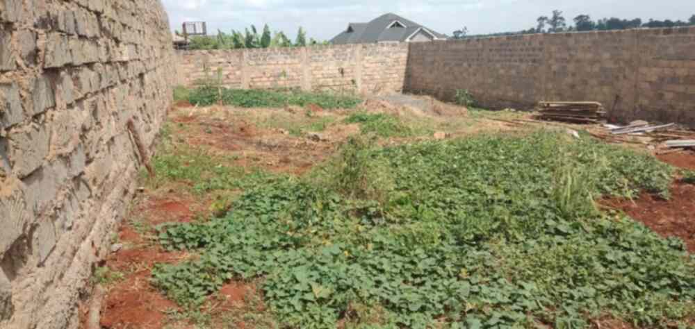 Land for sale in Ngoingwa Thika