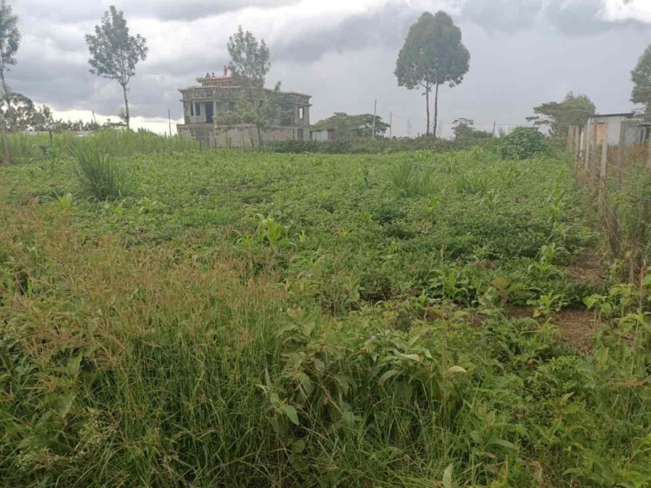 Land for sale in Ngong Olkeri