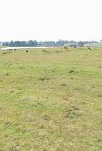 Land for sale in Njabini Kinangop Kwa Wangu