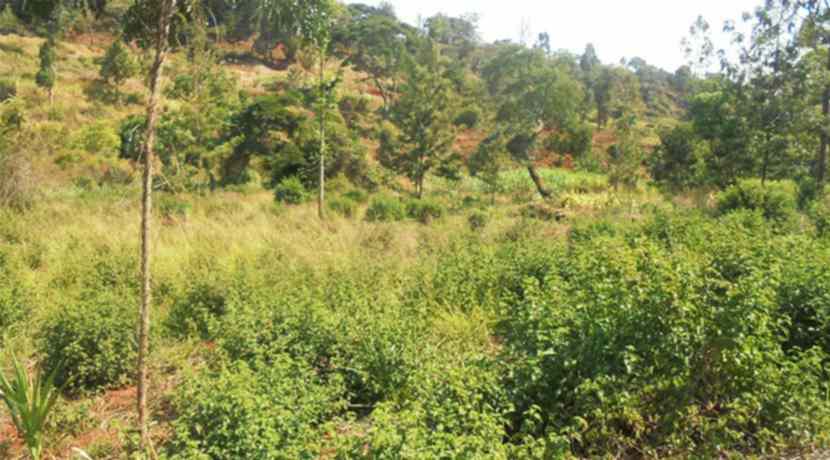 Land for sale in Nyeri