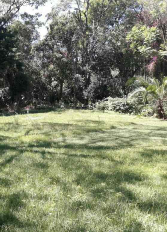 Land for sale in Old  Muthaiga