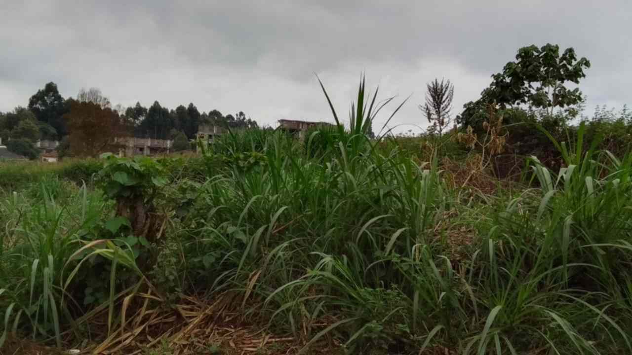 Land for sale in Ruaka Ndenderu