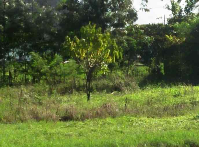 Land for sale in Ruiru Bypass