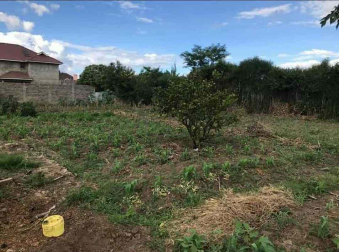 Land for sale in Ruiru Eastern Bypass