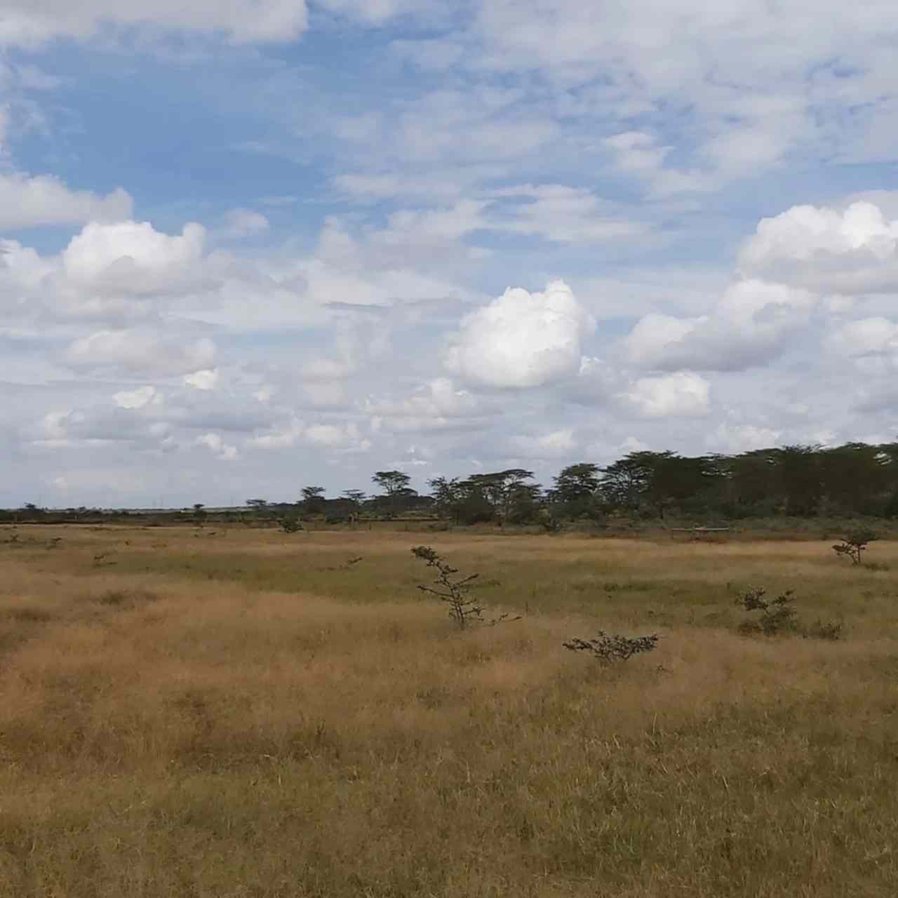 Land for sale in Rumuruti