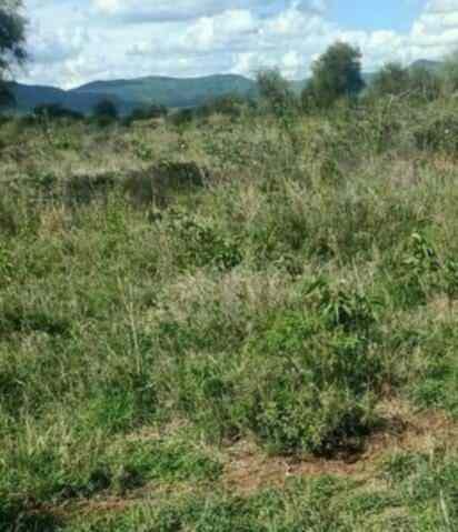 Land for sale in Rumuruti Laikipia County