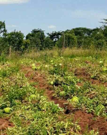 Land for sale in Rumuruti Nyahururu