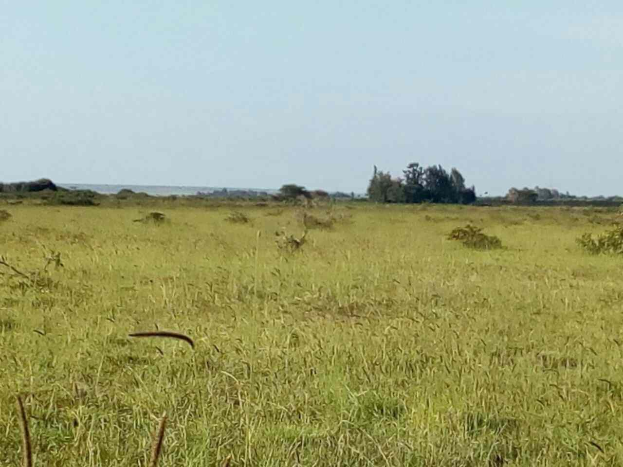 Land for sale in Rumuruti township Laikipia County