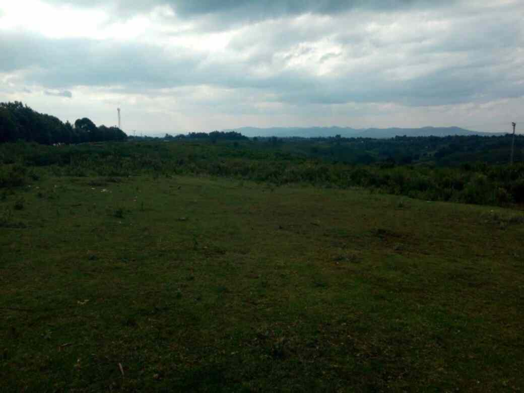 Land for sale in Timau Nanyuki Town