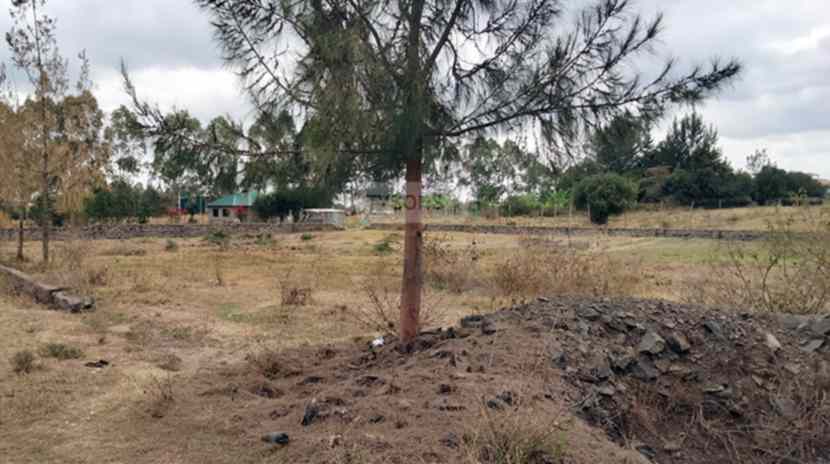 Land for sale in Tuala Kajiado