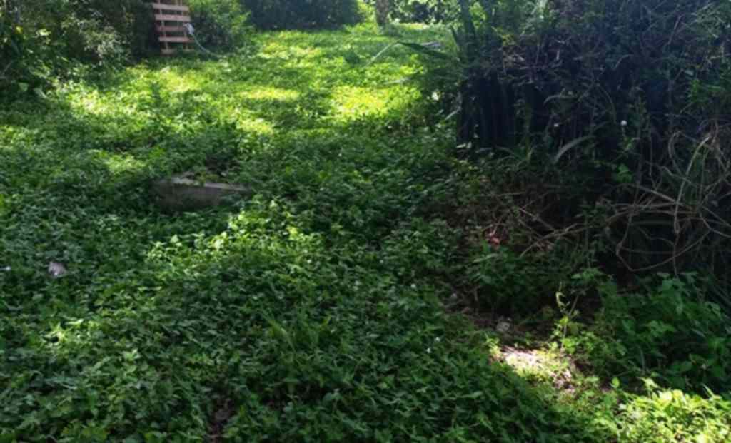 Land for sale in Upperhill