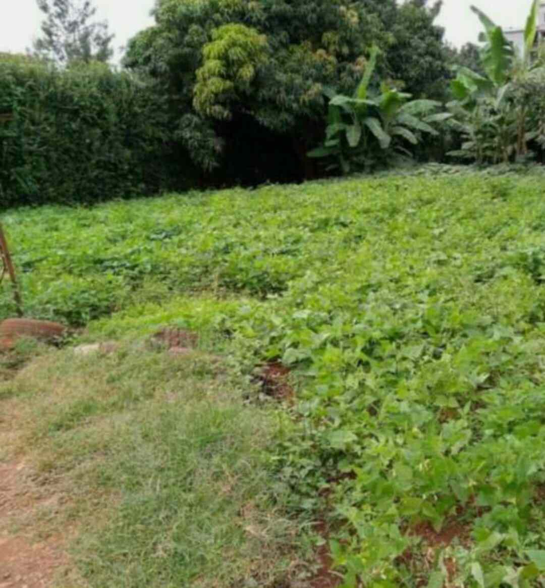 Land for sale in Westlands Waiyaki way