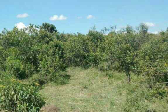 Land for sale Ng'arua Kinamba Laikipia County