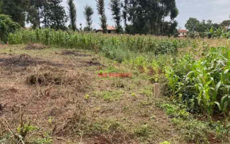 Land in Gitaru Kikuyu for sale Image