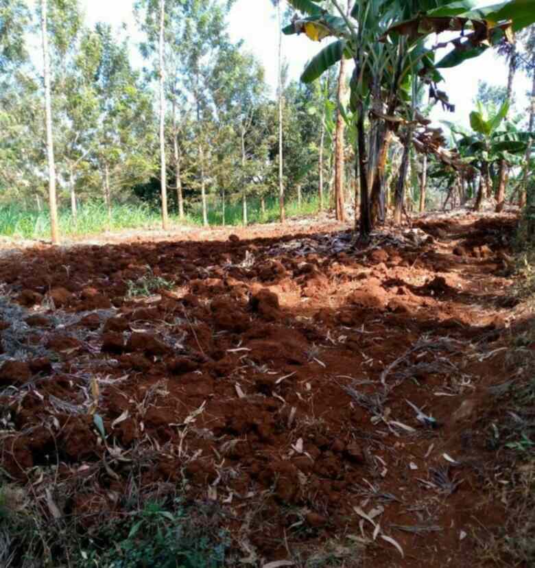 Land in Juja Kenyatta road for sale