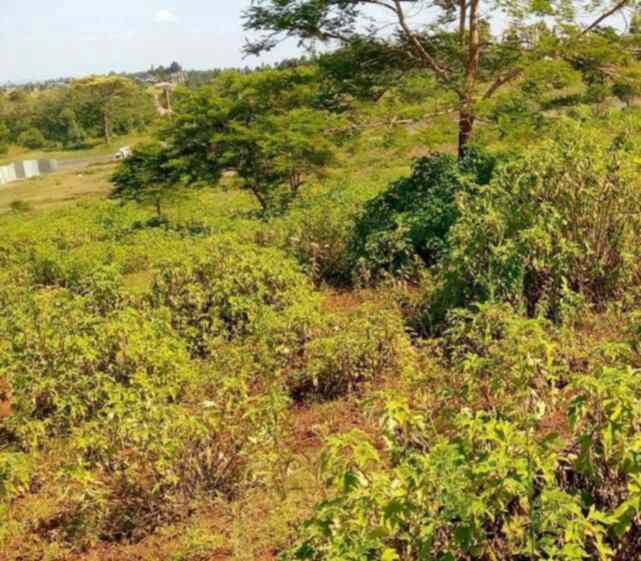 Land in Kabati near Kenol for sale